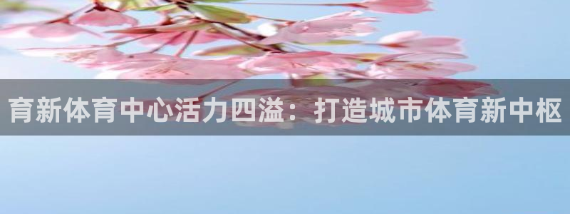 哈哈体育十年：育新体育中心活力四溢：打造城市体育新中枢