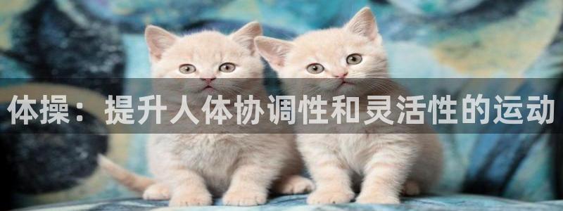 哈哈体育十年：体操：提升人体协调性和灵活性的运动