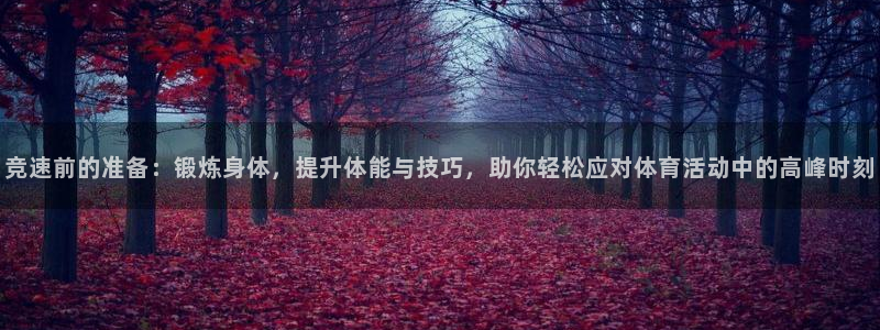 哈哈体育十年：竞速前的准备：锻炼身体，提升体能与技巧，助你轻松应对体育活动中的高峰时刻
