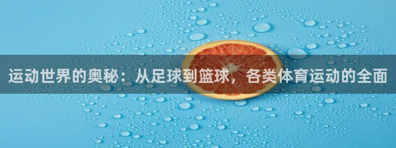 哈哈体育下载：运动世界的奥秘：从足球到篮球，各类体育运动的全面