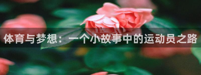 哈哈体育十年：体育与梦想：一个小故事中的运动员之路